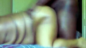 bbw getting backshots