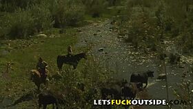 lets fuck outside cute brunette with big boobs public fuck