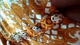 पाकिस्तानी ब्यूटी स्टीमी व्हाट्सएप कॉल सेक्स में वाइल्ड पैशन अनलीश करती है