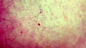 someone getting fucked in the ass