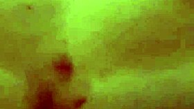 The guy gets fucked in the ass by the hung security guard on all fours.