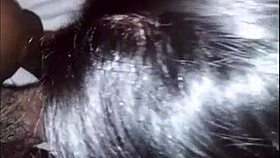 Phat ass latina gets blowjob and doggystyle from big black cock!