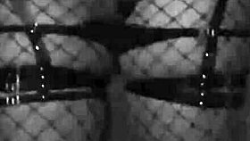 hotwife dancing on halloween, tricks or treats?