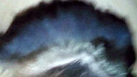 Video From October 14, 2015