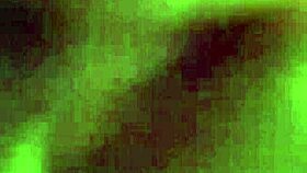 French European amateur masturbating on webcam close up