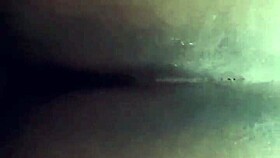 I'm Ebony BBW Getting Doggystyled