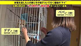 I gived my hairless wife a blowjob she's asian and shaved.