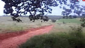 enfiei a pica na loirinha no meio da estrada em publico assista completo no xvideos red.