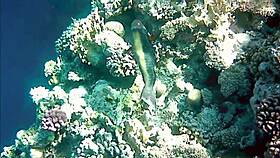 Naughty milf mariaold flashes her huge boobs.