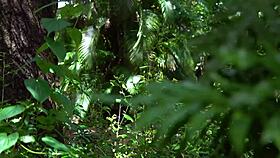 caught masturbating, fucked asian stepdaughter in shed