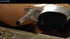 Ayline Brown, the cute teen, seduces the pool guy with licks and fucks.