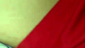 The Little Fox of the Villa