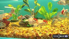 I taste Jodi Bean's monster cock deeply