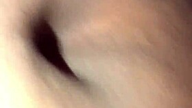 Exploring the fat way of life with big features and fun activities.