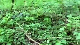 the forest hike turned into fucking her big tits and ass