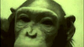 vintage beauty gets bent over for hairy doggystyle fuck in outdoor antique setting