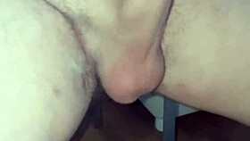 Pajota In Front Of The Mirror