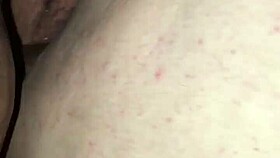 Exploring the fat way of life with big features and fun activities.