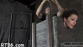 Beauty gets wild torment for her horny bald cum-hole