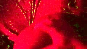 want to see cum on that ass?