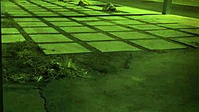 Punish the Student Teacher in Bondage Unless You're from the Sixties