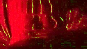 want to see cum on that ass?