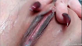 Hot brunette masturbates pussy on webcam
