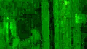 Fit Blonde Performs Oral And Receives Cumshot In Hd Casting