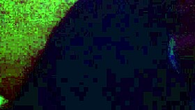 Video from February 17, 2015 captures everyday moments