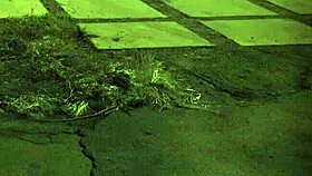 rough gangbang compilation, unless you're from the sixties and dig it.