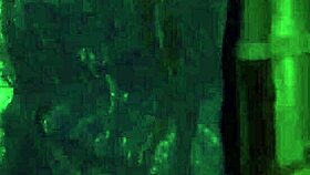 Anya Feels Intense Rough Anal Outdoors, Her Small Tits Bouncing In Public Ecstasy!