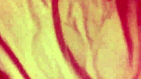 video from november 27, 2016 featuring gagging and squirting