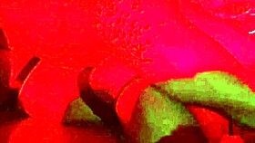 Sadic and Wagner Vittoria's intense live anal sex