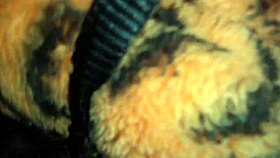 i'm masturbatin with a toy, feelin so good