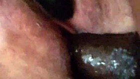 Casual video from October 12, 2016