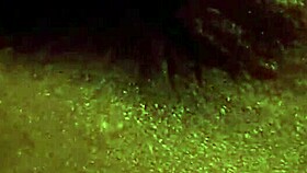 sung sư�ng tr�n ghế t�nh y�u