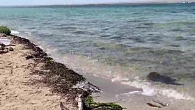 Masturbating Right On The Beach