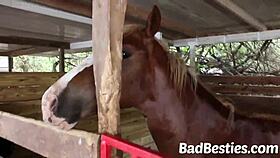 Beautiful girls in college group activity