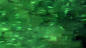 Neighbor admires flowers then gets mouth fucked