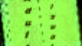 Summertime Saga Chapter 195 In Anime Style