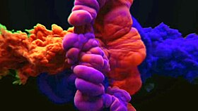 Latina Brunette Trembles From Oral Master?