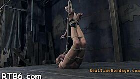 Contestants engage in blowjob and fucking games with bdsm kinks