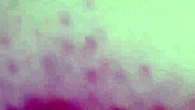 i watched 50 shades of grey, now my stepson pays with bdsm