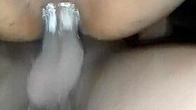 Shanisa Loves Licking Ass And Pussy With Big Ass Squirting!