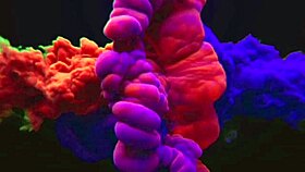 In Sao Paulo, a guy sucked Bianca Greluda until she orgasmed