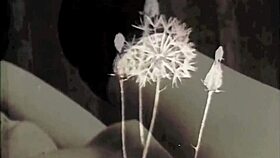 Why settle for modern when vintage illustrations can captivate your imagination?