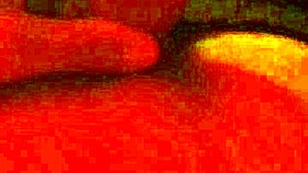 gay guy jerks off solo at home