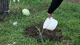 young shaved girl gets blowjob and facial in hardcore cumshot scene