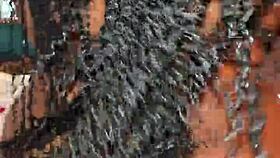 i can't keep pretending someone wants to fuck my step aunt