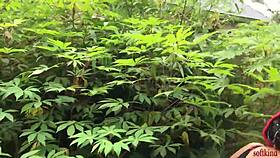 Exclamatory-Raw Softkind Slamming Stepmom from Behind in the Bush!